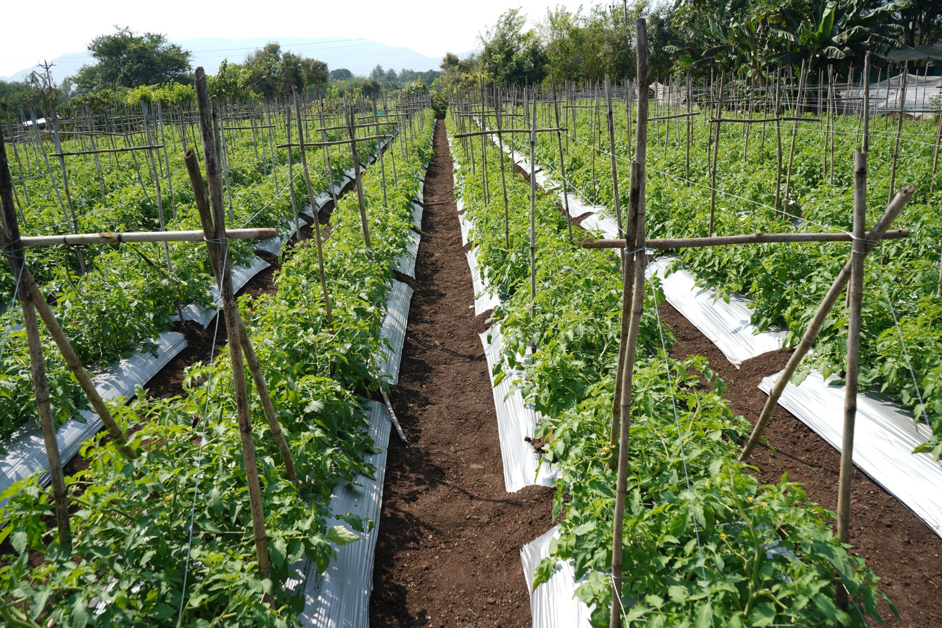 Our quality promises_